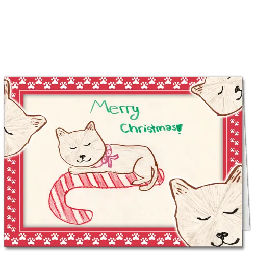 Merry Christmas Kitty DPK1931 Package