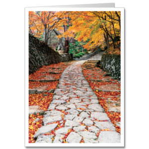 Thanksgiving Path 2419