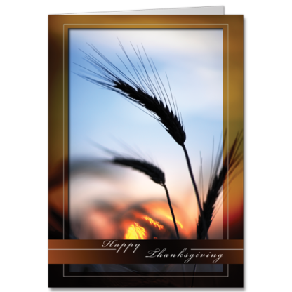 Sunrise Harvest Corporate Holiday Amber Waves 3047