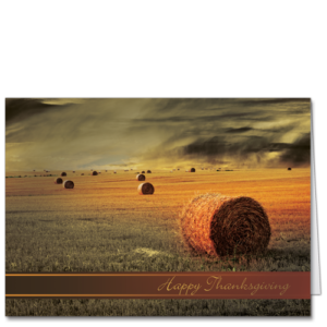 Hay Harvest Holiday Cards Fields Ahoy 3048