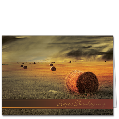 Hay Harvest Holiday Cards Fields Ahoy 3048