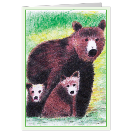 Bears 1980