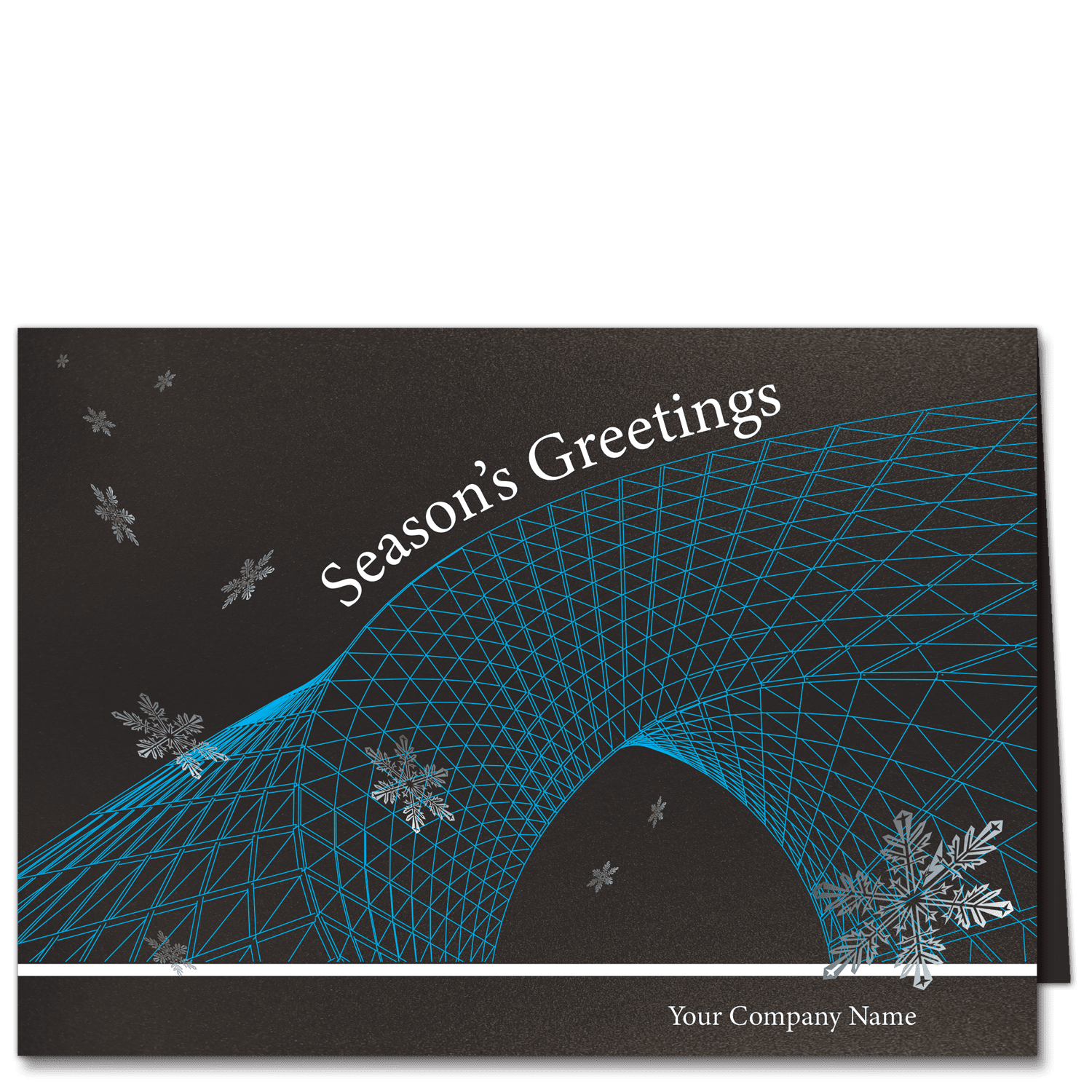 These custom holiday cards are personalized with your company name and choice of greeting on our exclusive shimmery black card stock in white. Delicate bright cyan lines create the abstract form of an arch with white snowflakes floating down.